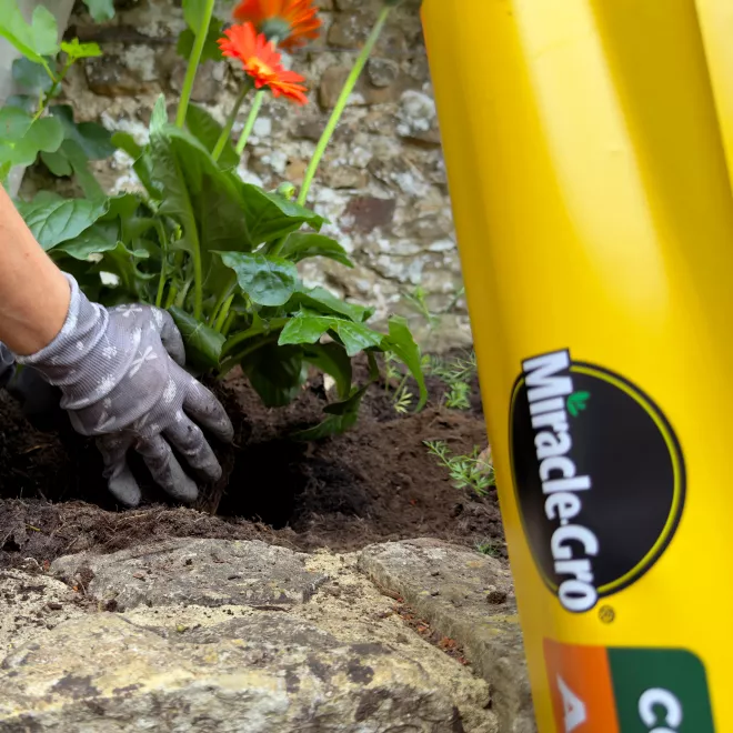 Miracle-Gro® Compost - All Purpose image 3