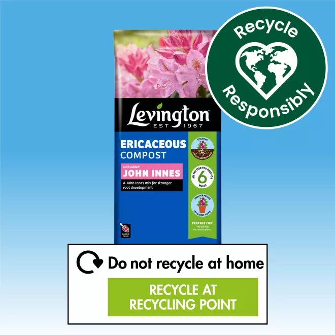Levington® Peat Free Ericaceous Compost with added John Innes image 6