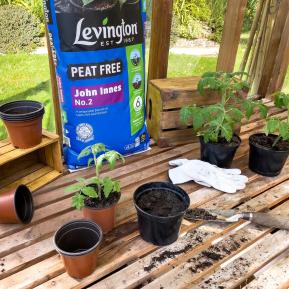 Levington® Peat Free John Innes No.2 image 4