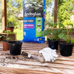 Levington® Peat Free John Innes No.2 image 2