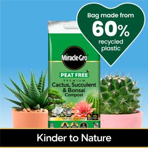 Miracle-Gro® Peat Free Premium Cactus, Succulent & Bonsai Compost image 2