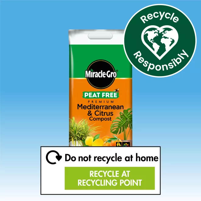Miracle-Gro® Peat Free Premium Mediterranean & Citrus Compost image 4