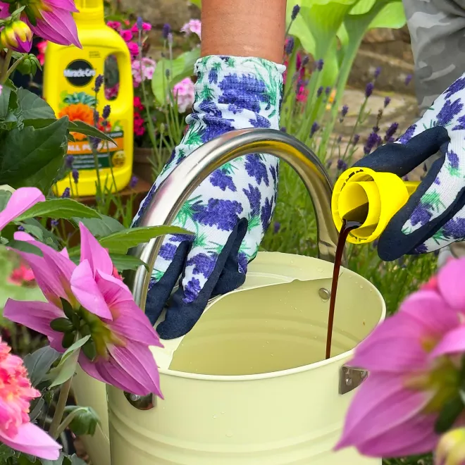 Miracle-Gro® Liquid Plant Food - All Purpose image 4