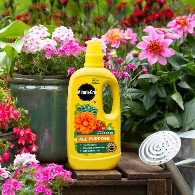 Miracle-Gro® Liquid Plant Food - All Purpose image 2