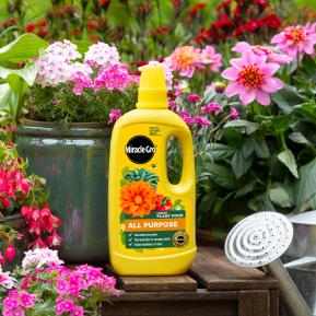 Miracle-Gro® Liquid Plant Food - All Purpose image 2