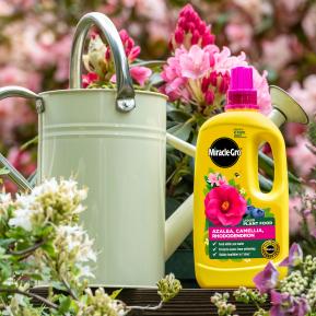 Miracle-Gro® Liquid Plant Food - Azalea, Camellia, Rhododendron image 2