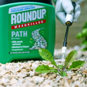 Roundup® Weedkiller Path Optima Pump ‘n Go image 3