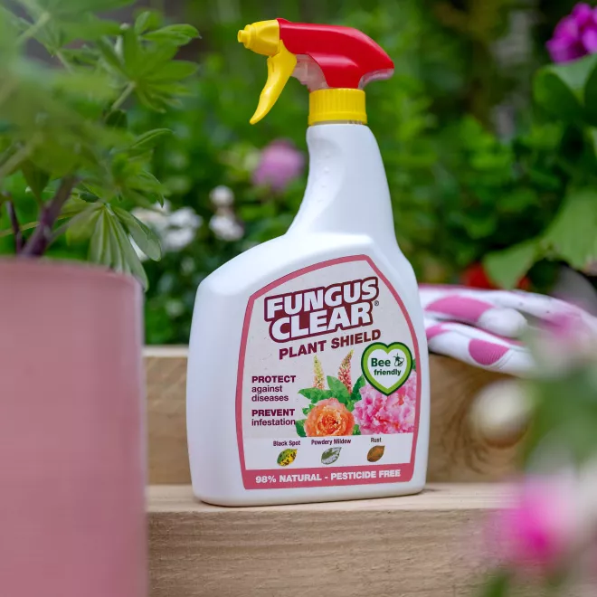 FungusClear® Plant Shield Spray image 2