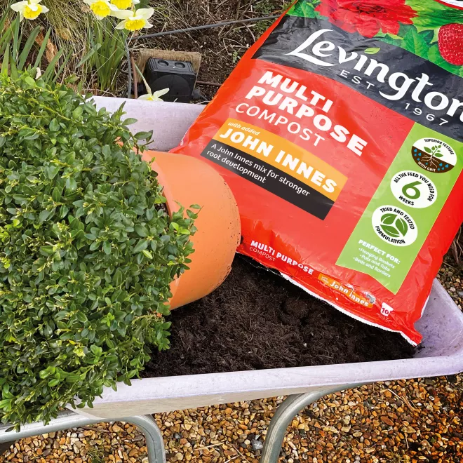 Levington® Peat Free Multi Purpose Compost with added John Innes image 3