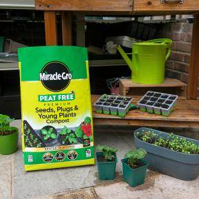 Miracle-Gro® Peat Free Premium Seeds, Plugs & Young Plants Compost image 3