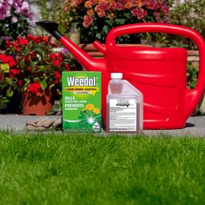 Weedol® LN Lawn Weed Control (Concentrate) image 3