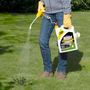 Weedol® Tough Weed Control (Ready to Use) image 3