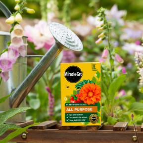 Miracle-Gro® Plant Food Soluble - All Purpose image 2