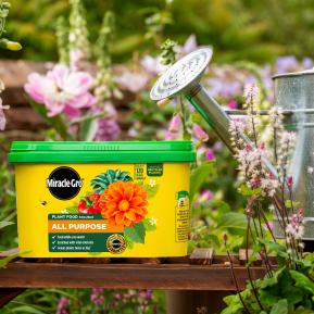 Miracle-Gro® Plant Food Soluble - All Purpose image 2