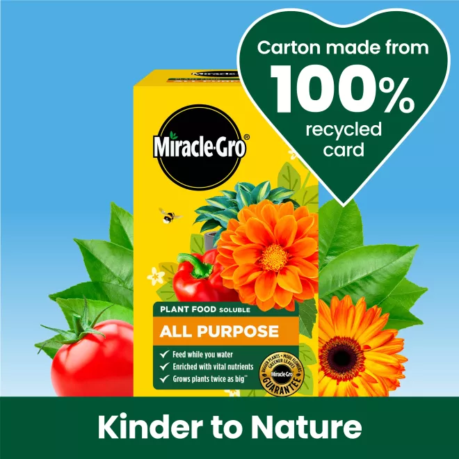 Miracle-Gro® Plant Food Soluble - All Purpose image 4
