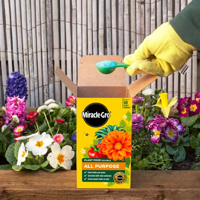 Miracle-Gro® Plant Food Soluble - All Purpose image 3
