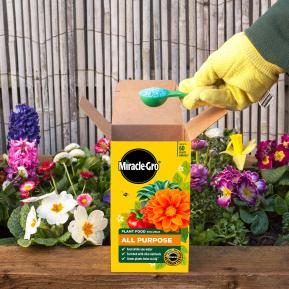 Miracle-Gro® Plant Food Soluble - All Purpose image 3