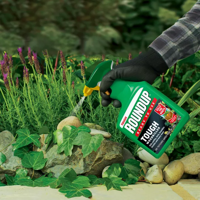 Roundup® Tough Ready to Use Weedkiller image 2