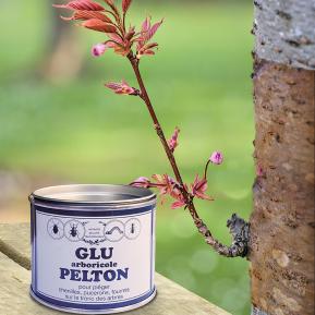 Pelton glu arboricole image 2
