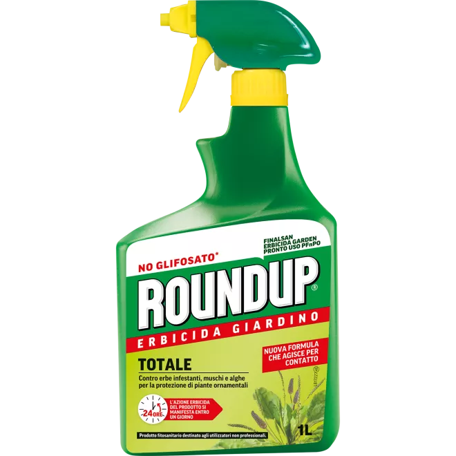 ROUNDUP PEnPO main image