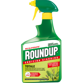 ROUNDUP PEnPO main image