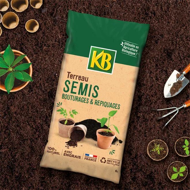 KB Terreau semis image 2