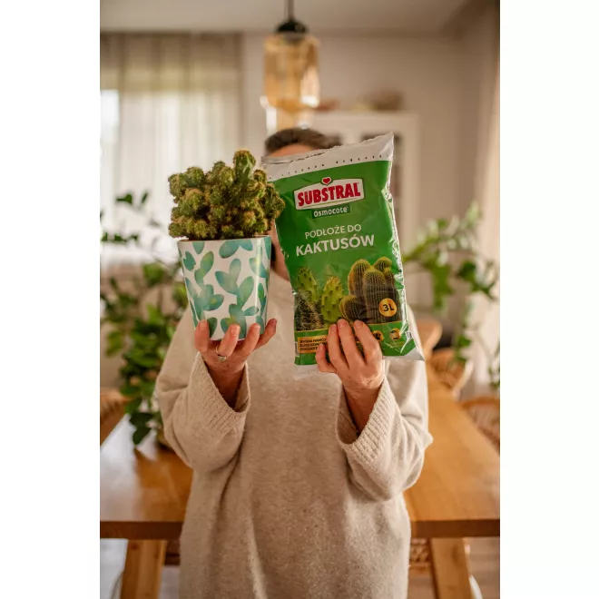 SUBSTRAL Osmocote® Gotowe Podłoże do Kaktusów image 2