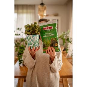 SUBSTRAL Osmocote® Gotowe Podłoże do Kaktusów image 2