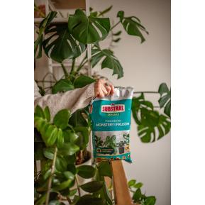 SUBSTRAL Osmocote® Gotowe Podłoże do Monstery i Fikusów image 2