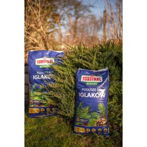 SUBSTRAL Osmocote® Gotowe Podłoże do Iglaków image 2