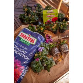 SUBSTRAL Osmocote® Gotowe Podłoże do Kwiatów Balkonowych image 3