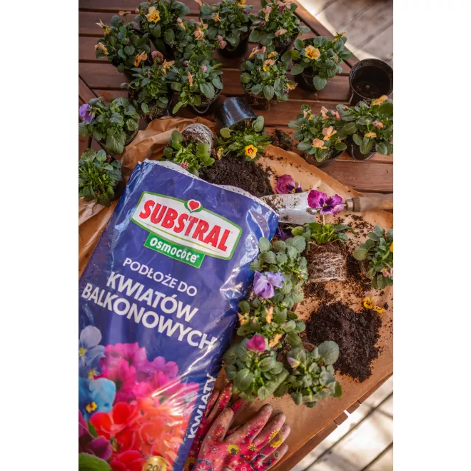 SUBSTRAL Osmocote® Gotowe Podłoże do Kwiatów Balkonowych image 2