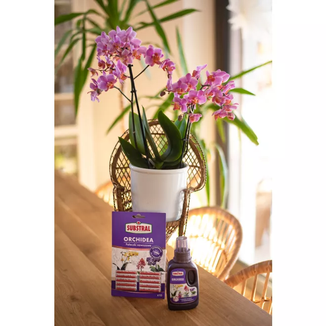 SUBSTRAL Pałeczki nawozowe Orchidea image 3