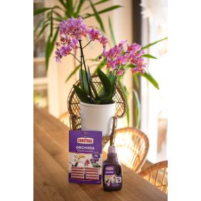 SUBSTRAL Pałeczki nawozowe Orchidea image 3