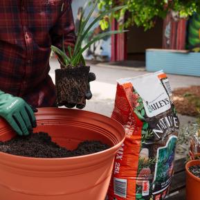 Baileys Native Premium Potting Mix image 3