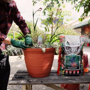 Baileys Native Premium Potting Mix image 4