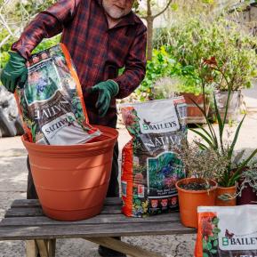 Baileys Native Premium Potting Mix image 2
