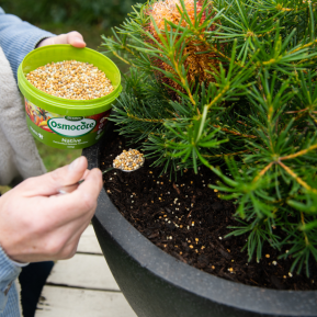 Scotts Osmocote® Controlled Release Fertiliser: Native image 5
