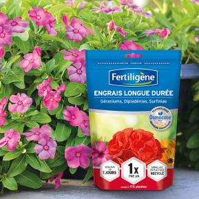 Fertiligène engrais longue durée Osmocote® Max géraniums dipladénias surfinias image 2