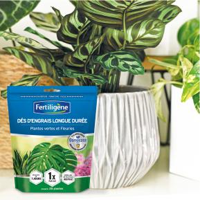 Fertiligène dés d'engrais longue durée Osmocote® Max plantes vertes et fleuries image 2