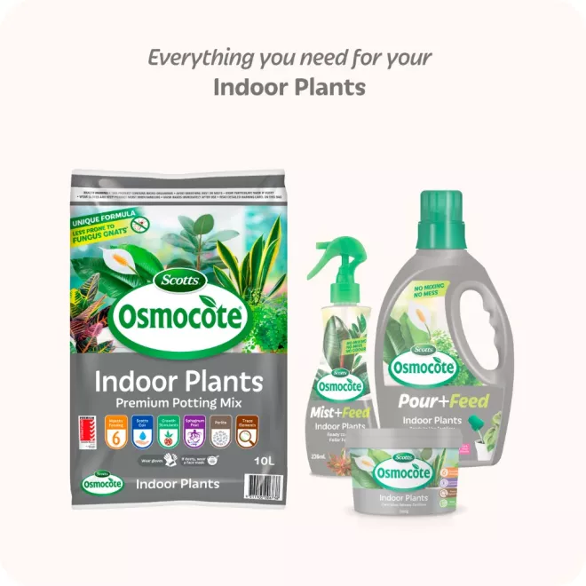 Scotts Osmocote Premium Potting Mix for Indoor Plants image 6