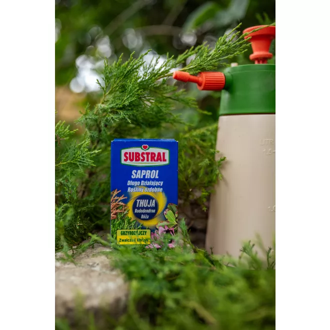 SUBSTRAL Saprol Środek Grzybobójczy do Thuj image 3
