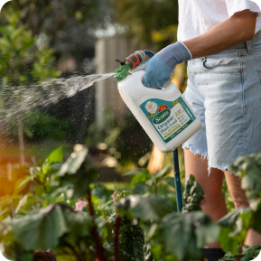 Scotts Organic Plant Food Hose On  image 6