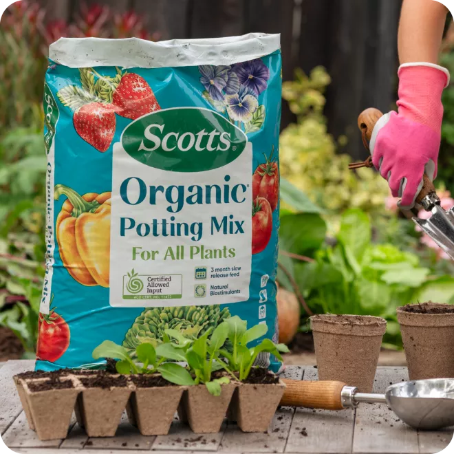 Scotts Organic Potting Mix For All Plants image 5