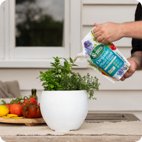 Scotts Organic Plant Food Ready to Use image 5