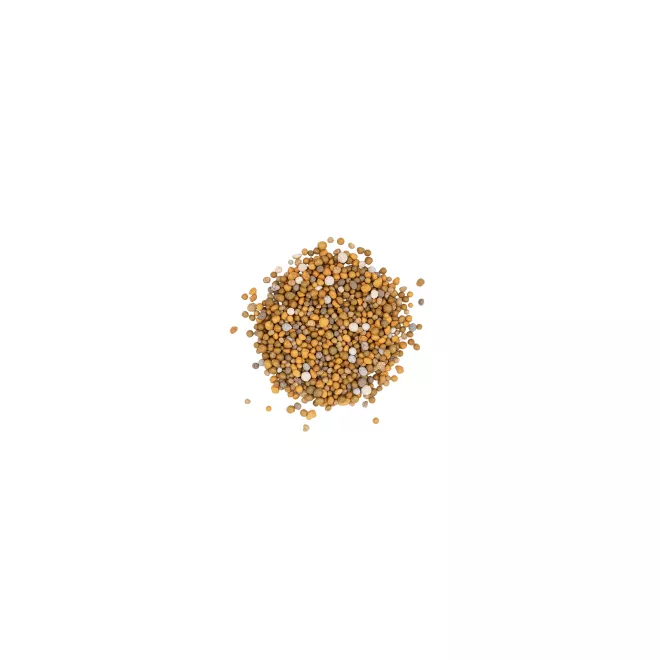 Scotts Osmocote® Controlled Release Fertiliser: Tomato, Vegetable & Herb image 2