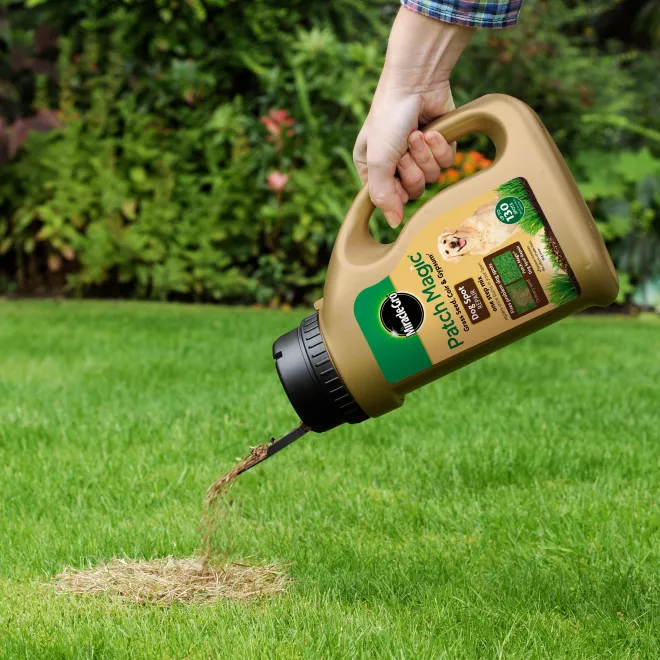 Miracle-Gro® Patch Magic® Dog Spot Repair image 3