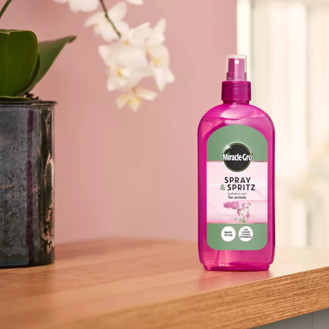 Miracle-Gro® Spray & Spritz image 3
