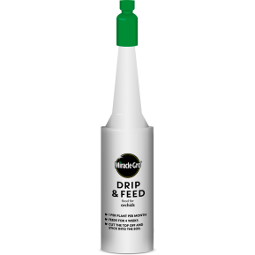 Miracle-Gro® Drip & Feed Orchid main image