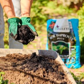 Baileys Soil Improver Plus image 3